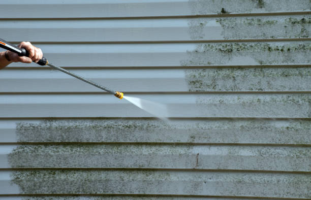 Best Roof Washing  in Airy Heights, WA